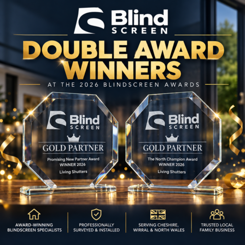 blindscreen award winner